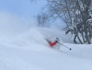 Japan Powder Skiing